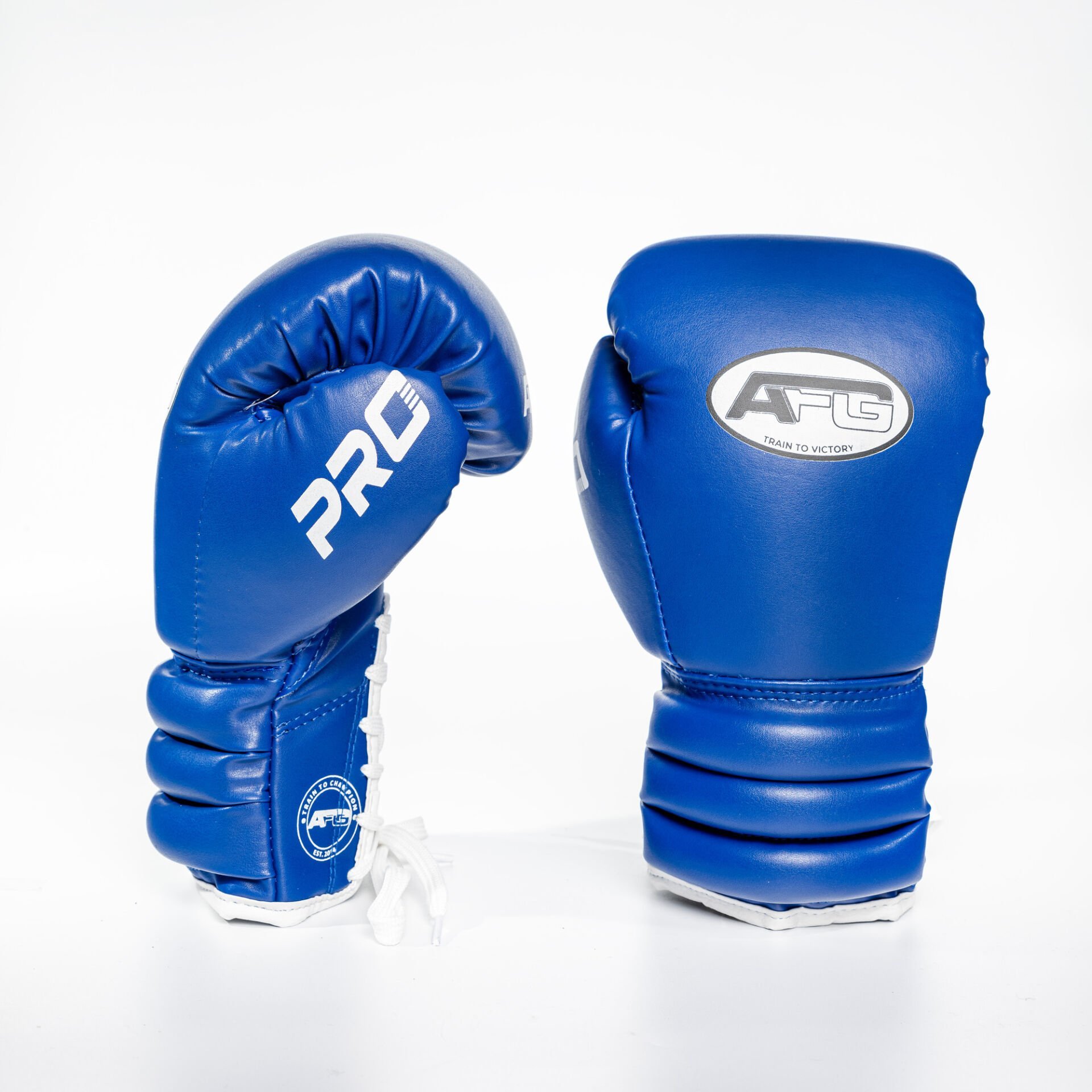 AFG Pro Mavi Eldiven 10 Oz
