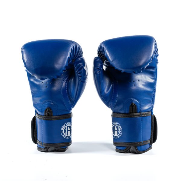 AFG Beginner Boks Eldiveni 10 Oz Mavi