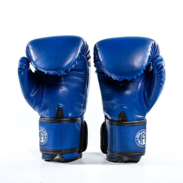 AFG Beginner Boks Eldiveni 10 Oz Mavi